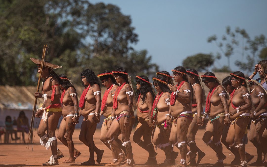 AMAZÔNIA NOTÍCIA E INFORMAÇÃO: Semente por semente, mulheres do Xingu estão reflorestando o que o branco desmatou
