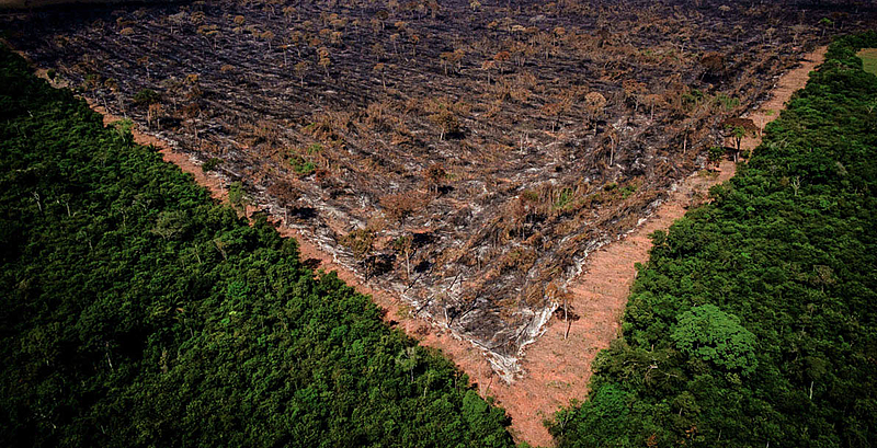 BRASIL DE FATO: No Maranhão, 80% da floresta amazônica já foi devastada
