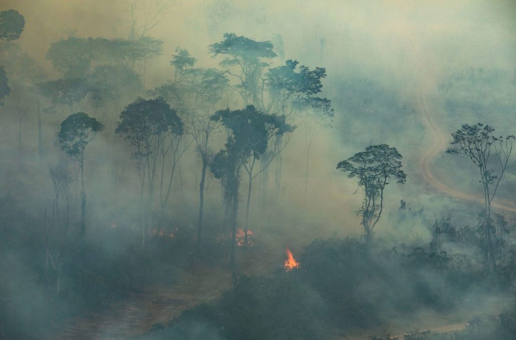 AMAZÔNIA NOTÍCIA E INFORMAÇÃO: Bolsonaro diz que existem “opiniões distorcidas” sobre as ações do governo para proteger a Amazônia