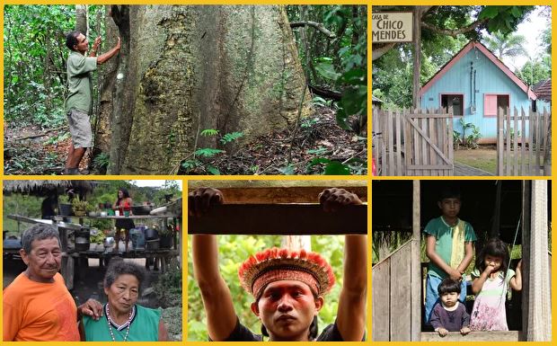 CONGRESSO EM FOCO: Sociedade civil se mobiliza para ajudar povos da floresta contra covid-19