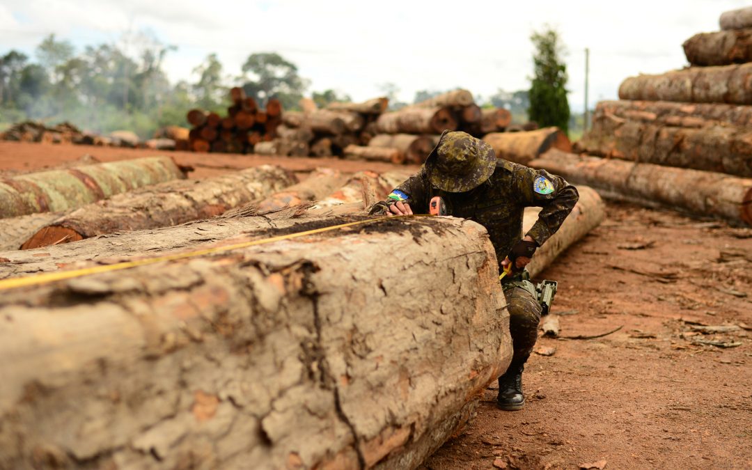 AMAZÔNIA REAL: Combate a desmatamentos é duramente criticado por defensores da Amazônia