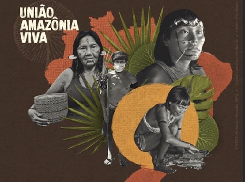 AMAZÔNIA NOTÍCIA E INFORMAÇÃO: União Amazônia Viva: iniciativa visa arrecadar R$ 6 milhões para apoiar os povos da floresta no combate à Covid-19