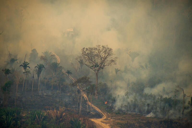 GREENPEACE: Moratória do fogo é desrespeitada e queimadas seguem em alta na Amazônia