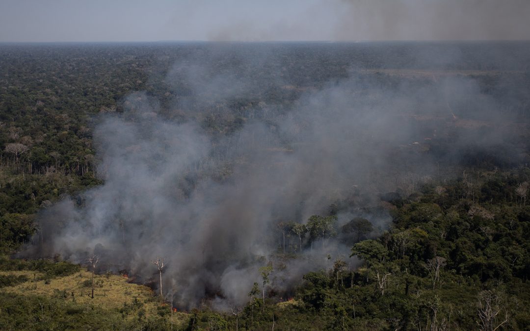 AMAZÔNIA REAL: Amazônia em Chamas 20: “Tudo que vai queimar está pela frente”, diz Setzer sobre a temporada do fogo