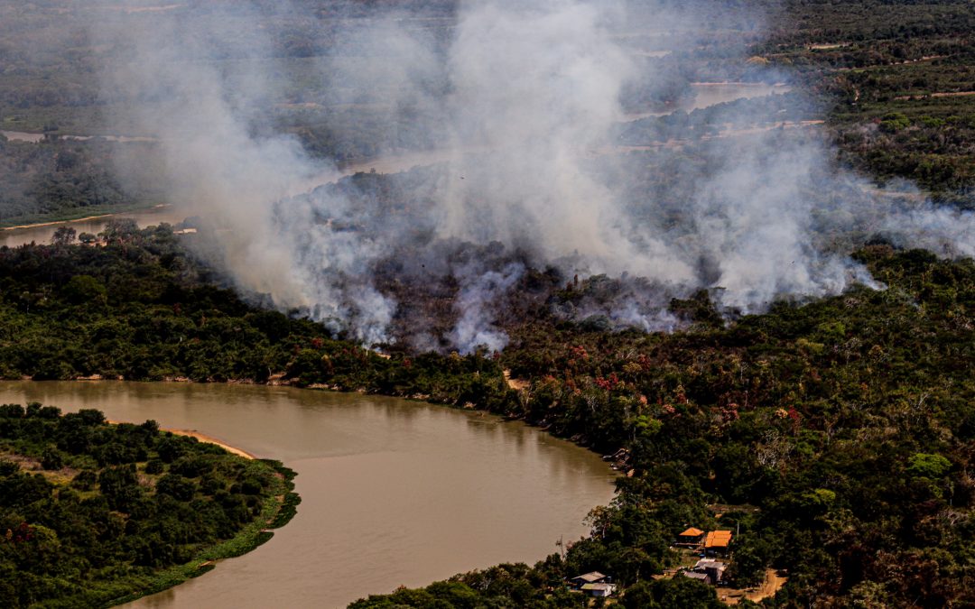 AMAZÔNIA REAL: Amazônia em Chamas: Povo Bororo perde árvores frutíferas e medicinais para o fogo no Mato Grosso