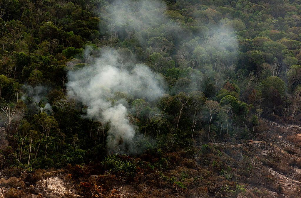 GREENPEACE: Focos de calor batem novos recordes na Amazônia em julho