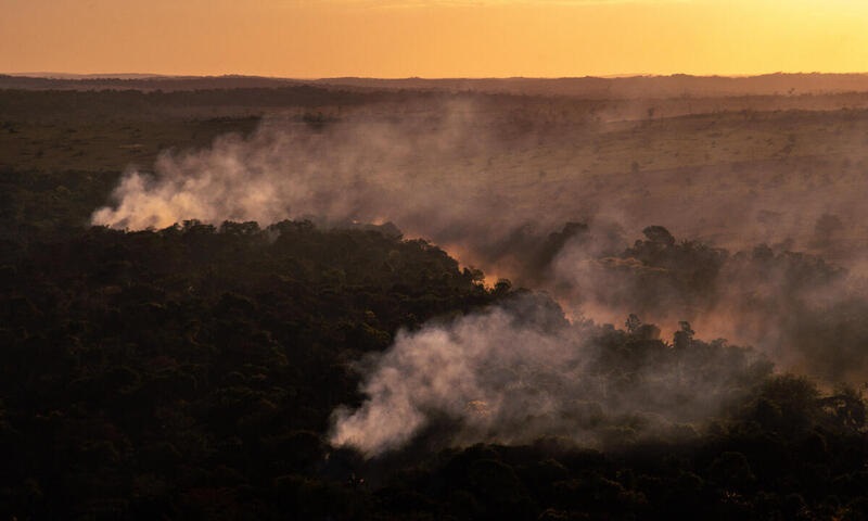 AMAZÔNIA NOTÍCIA E INFORMAÇÃO: Julho tem aumento de quase 30% no número de queimadas na Amazônia e num único dia recorde dos últimos 15 anos