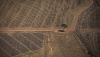 ISA: Municípios com redução de multas ambientais tiveram alta no desmatamento