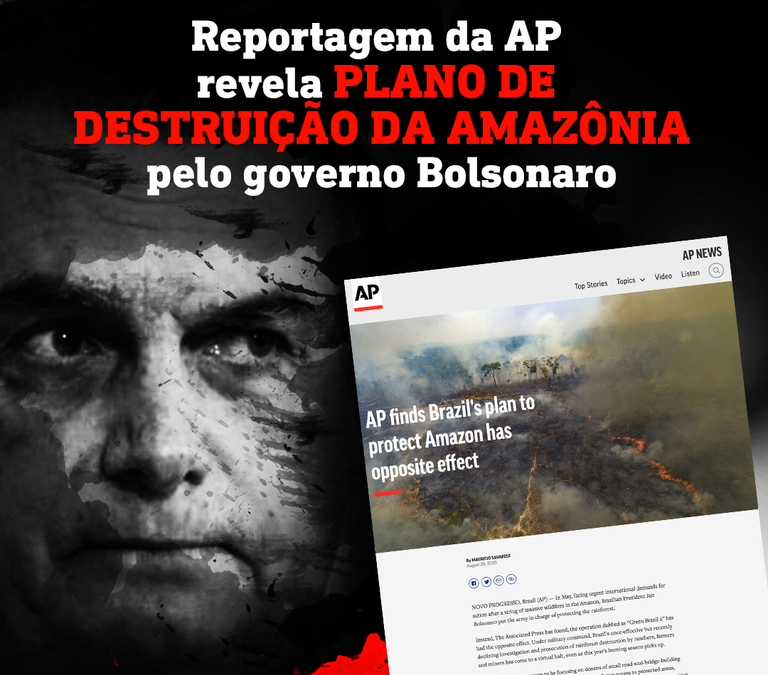 GREENPEACE: Como o governo Bolsonaro destrói nossas florestas