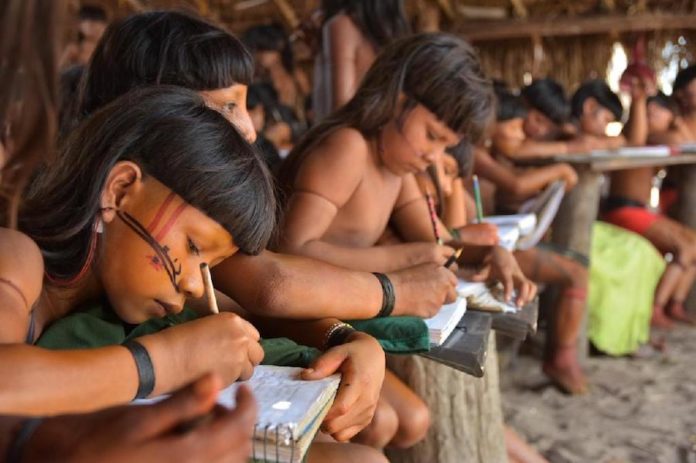 OPAN: Secretaria de Educação de MT impõe volta às aulas aos indígenas e define plano sem diálogo