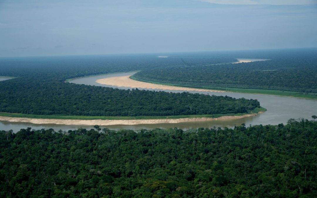 AMAZÔNIA REAL: Região Trans-Purus, a última floresta intacta: 2 – A ameaça do Ramal de Tapauá