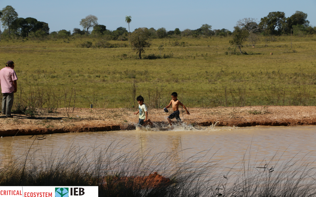 CTI: Dia Nacional do Cerrado: como estamos atuando em defesa do bioma?