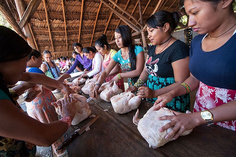 BRASIL DE FATO: Estudo avalia impacto de alimentos processados para a saúde indígena