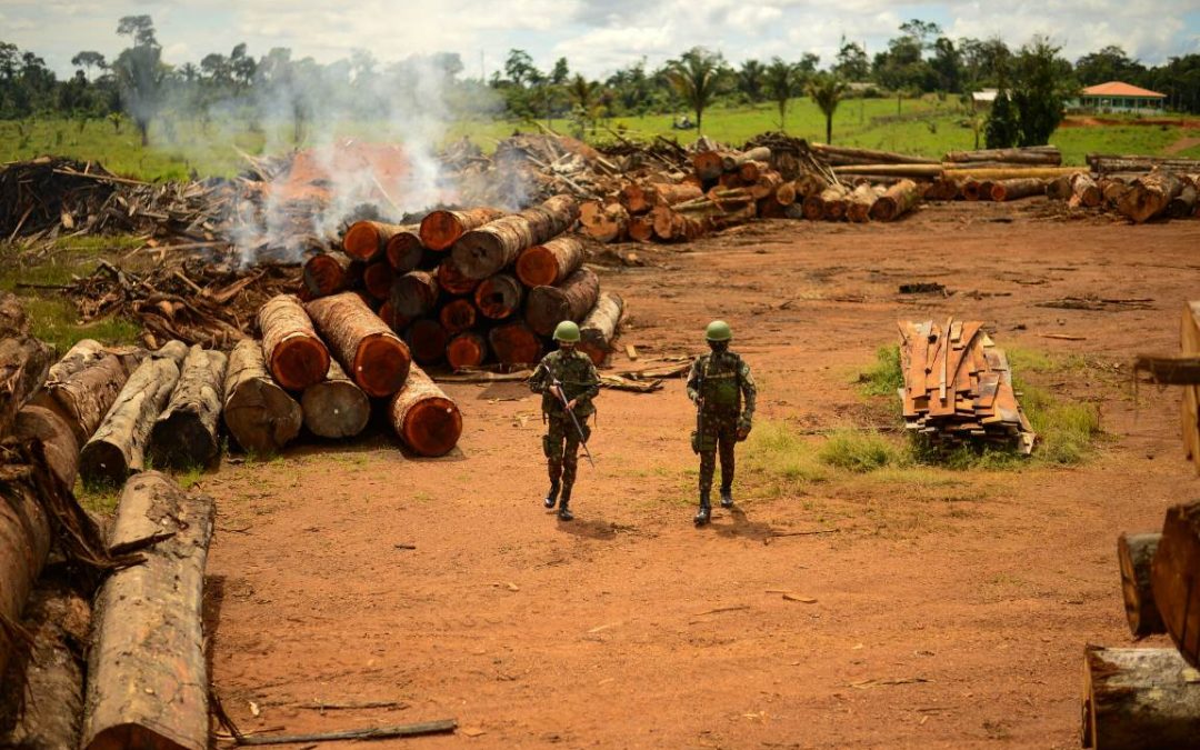 AMAZÔNIA NOTÍCIA E INFORMAÇÃO: Governo nega militarização ambiental, mas mostra efetivo militar na Amazônia
