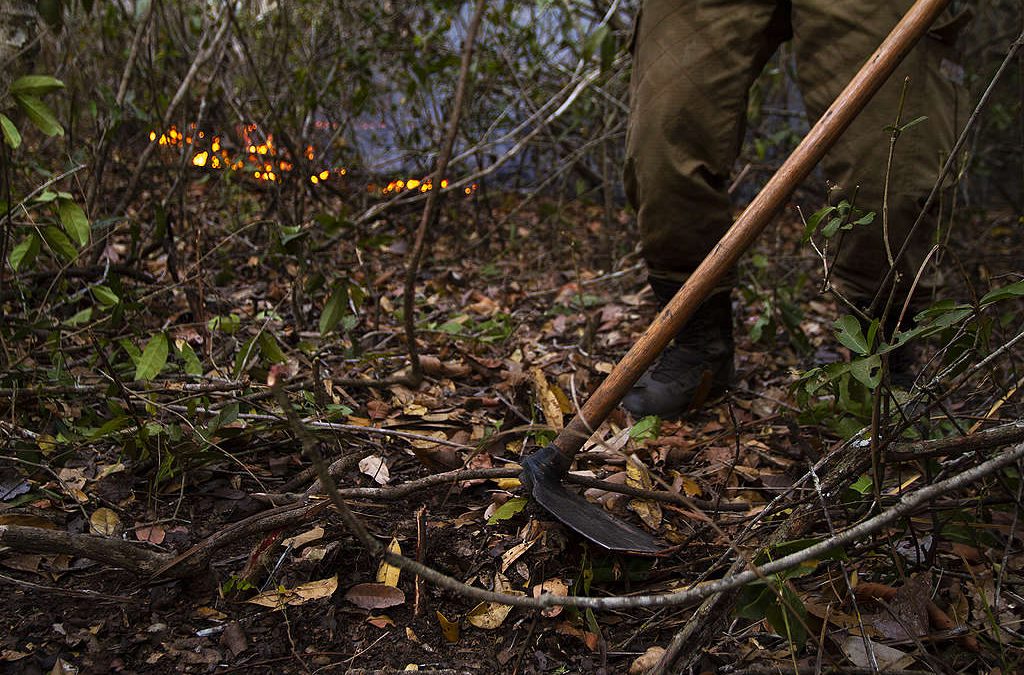 GREENPEACE: Fogo consome o Pantanal e vidas