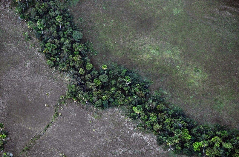 BRASIL DE FATO: “Grilagem organizada” ameaça biodiversidade e comunidades do Matopiba