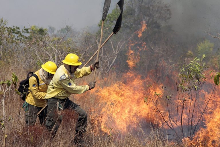 AMAZÔNIA NOTÍCIA E INFORMAÇÃO: Enquanto Brasil queima, brigadas indígenas de combate ao fogo encaram futuro incerto