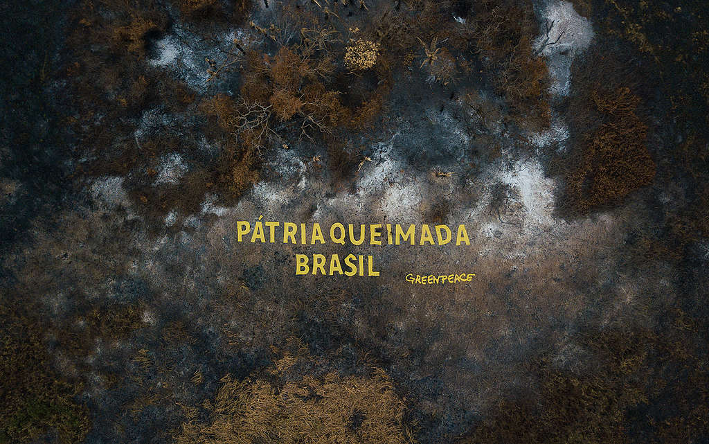 GREENPEACE: Pátria Queimada Brasil: política incendiária do governo ameaça futuro do país