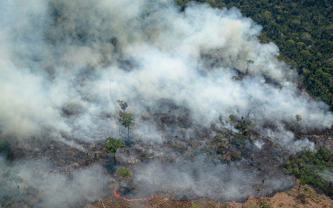 AMAZÔNIA REAL: Amazônia em Chamas: Sobrevoo flagra avanço da degradação ambiental no território Munduruku