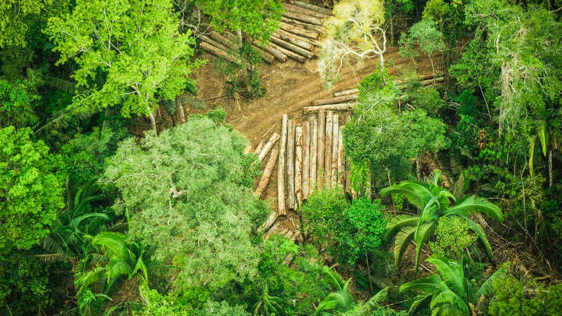 AMAZÔNIA NOTÍCIA E INFORMAÇÃO: Suspeitos de queimadas na Terra Indígena Karipuna, em Rondônia, podem ser presos em operação policial