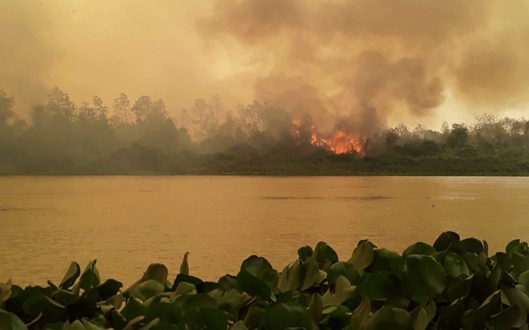 AMAZÔNIA NOTÍCIA E INFORMAÇÃO: Acusados por Bolsonaro, caboclos e indígenas têm territórios devastados por incêndios no Pantanal