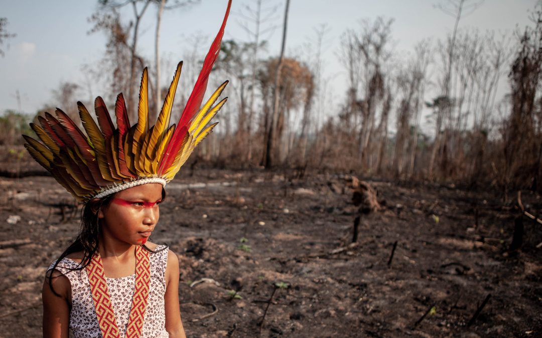 DE OLHO NOS RURALISTAS: Invasões de terras indígenas dobram no primeiro ano de governo Bolsonaro