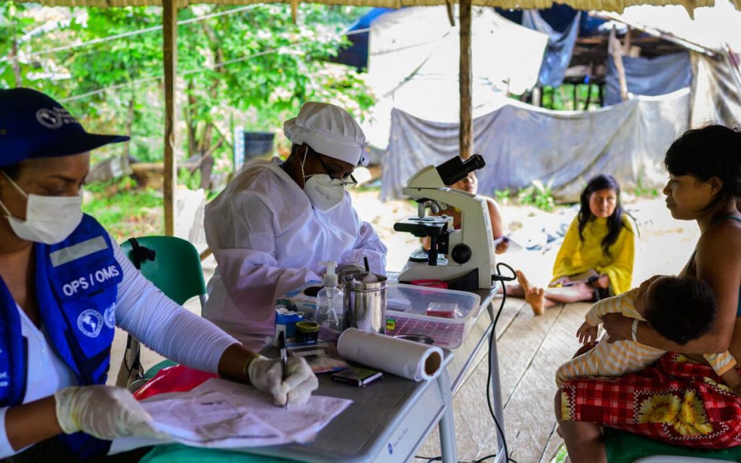 ONU: Brasil, Colômbia, Haiti e Honduras recebem prêmio por trabalho contra a malária nas Américas