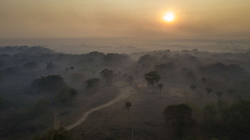 GREENPEACE: Expedição Pantanal: afetados pelo fogo e parceiros que atuam no bioma