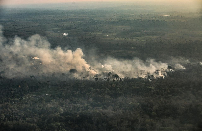 BRASIL DE FATO: Nem caboclos, nem indígenas: desmatamento e grilagem queimam a Amazônia, diz estudo