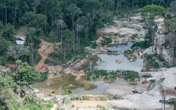 ISA: Destruição avança no território Munduruku