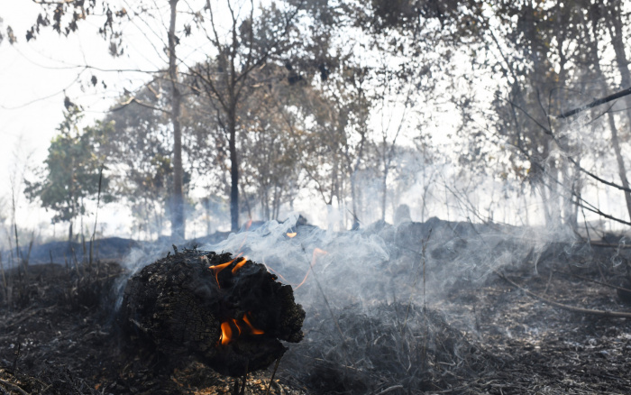 ISA: Floresta roubada: invasões ameaçam Terras Indígenas no Xingu