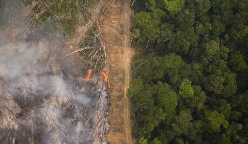 CONGRESSO EM FOCO: Amazônia e Cerrado já queimaram, em 11 dias, mais que todo outubro de 2019