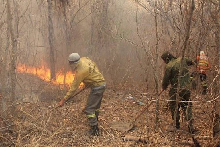 FOLHA DE S. PAULO: Incêndios no Pantanal: por que o fogo ainda ameaça o ecossistema mesmo após a chegada das chuvas