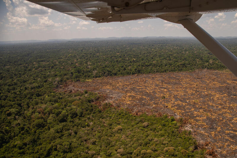 GREENPEACE: Amazônia extraoficial: onde o desmatamento existe