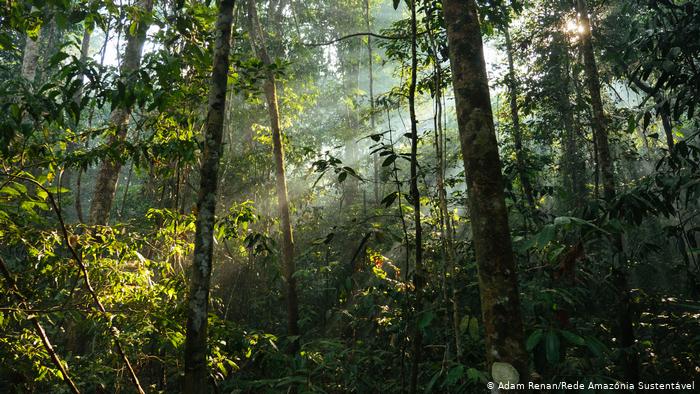 AMAZÔNIA NOTÍCIA E INFORMAÇÃO: “O indígena que tenta proteger a floresta acaba sendo morto por pistoleiros”