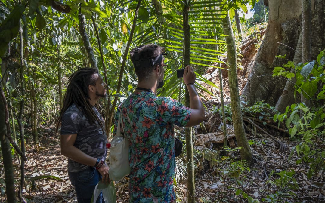 AMAZÔNIA REAL: Flona Tapajós reabre ao turismo comunitário a pedido dos trabalhadores