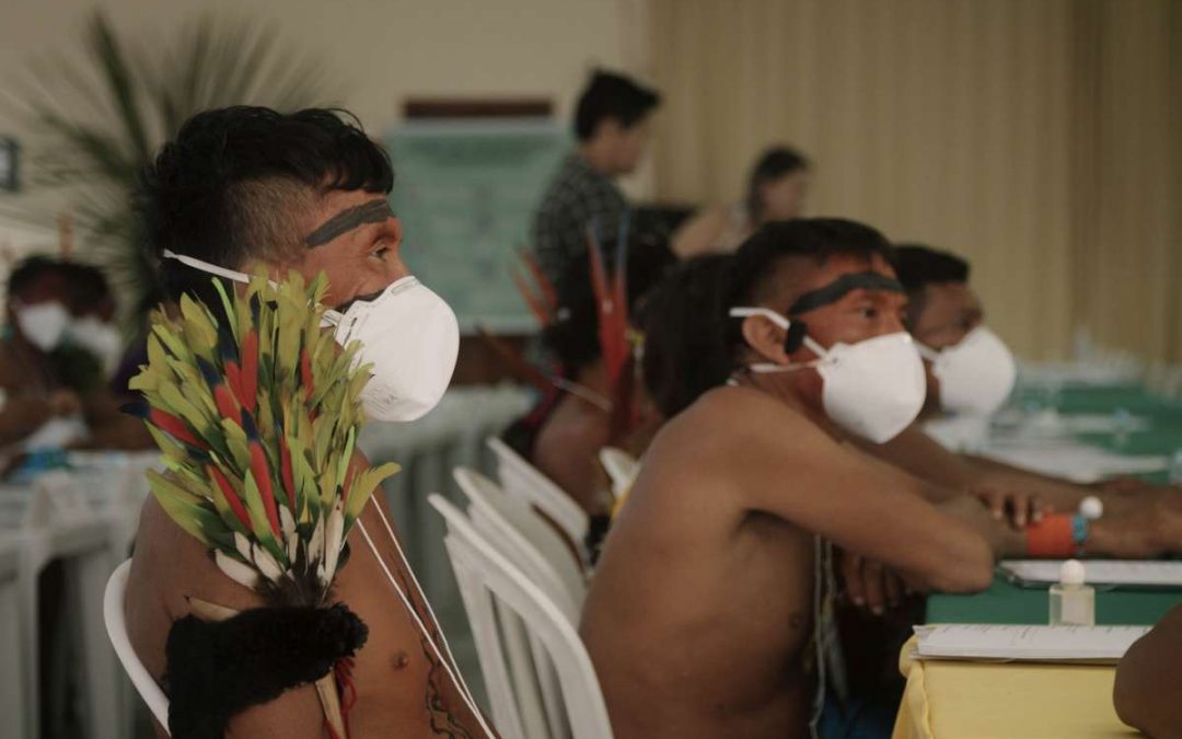 SURVIVAL: Cumplicidade e negligência do governo pioram coronavírus entre os Yanomami e Ye’kwana
