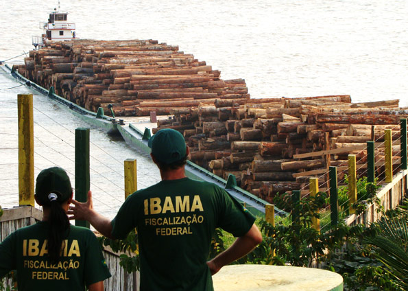 DE OLHO NOS RURALISTAS: A madeira vai às urnas: os candidatos das toras na Amazônia
