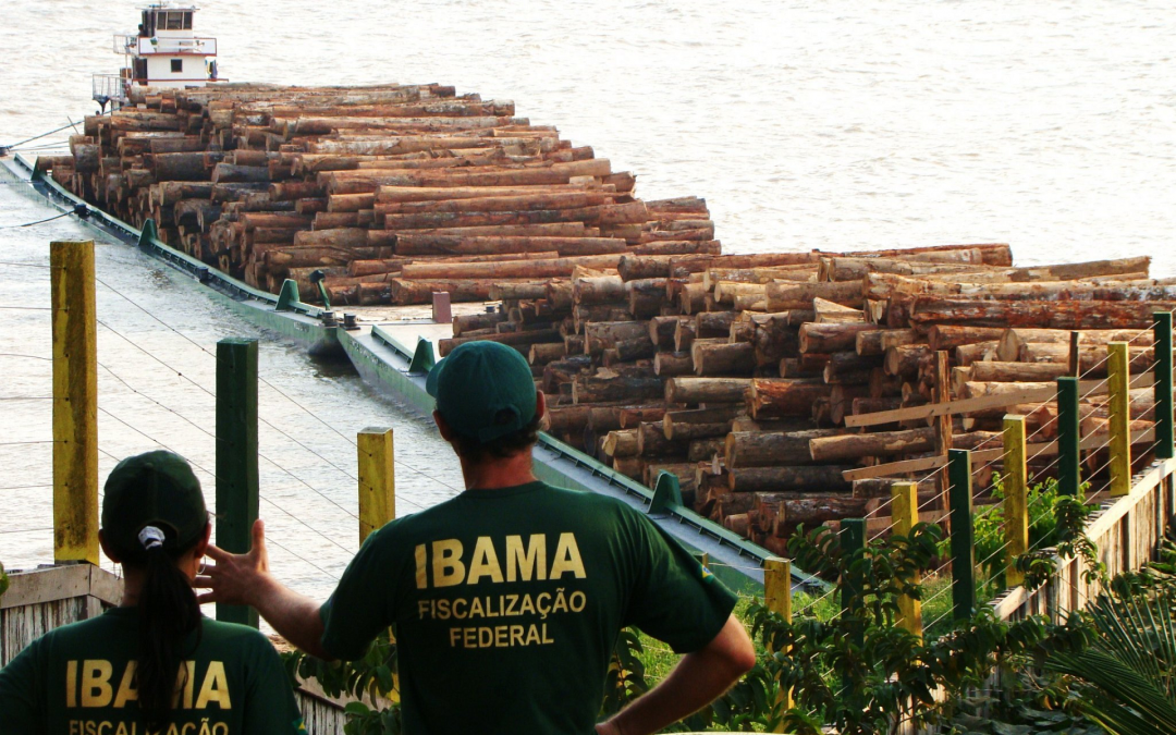 DE OLHO NOS RURALISTA: Políticos bolsonaristas assinam lobby da madeira
