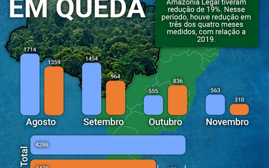 DEFESA: Verde Brasil 2 completa 210 dias com queda no desmatamento e aprovação da opinião pública