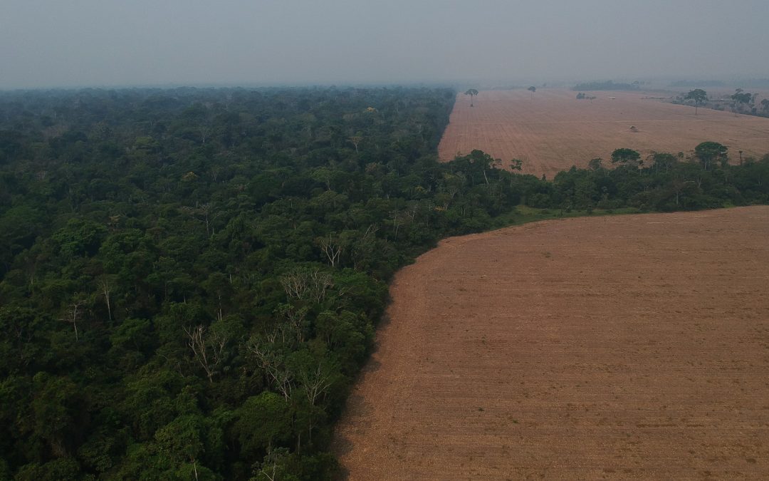 AMAZÔNIA REAL: Nota Pública: Nem um hectare a menos!!!