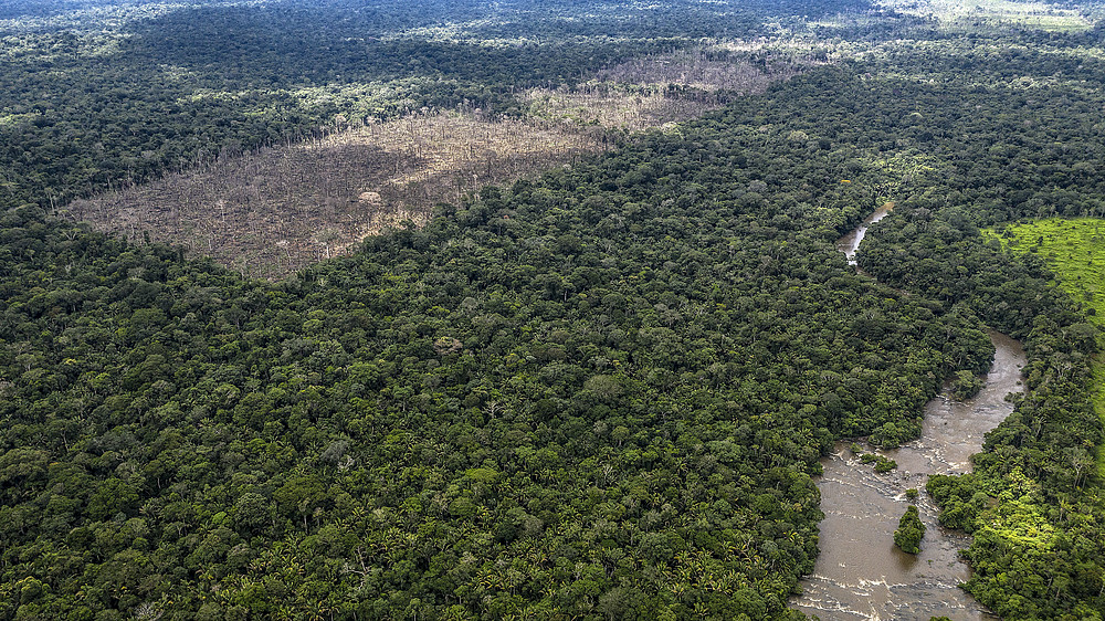 AMAZÔNIA REAL: Desafetações e crimes regularizados: distopias na Amazônia aqui e agora