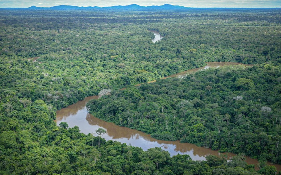 AMAZÔNIA NOTÍCIA E INFORMAÇÃO: Um futuro para os indígenas amazônicos