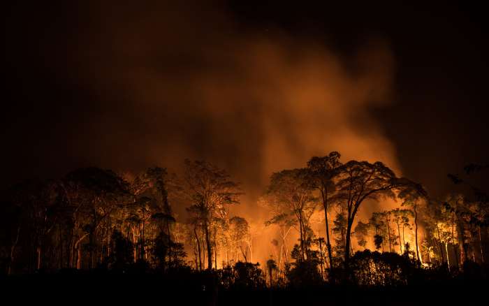 ISA: Amazônia se deteriorou em oito anos, mostra análise inédita feita em nove países