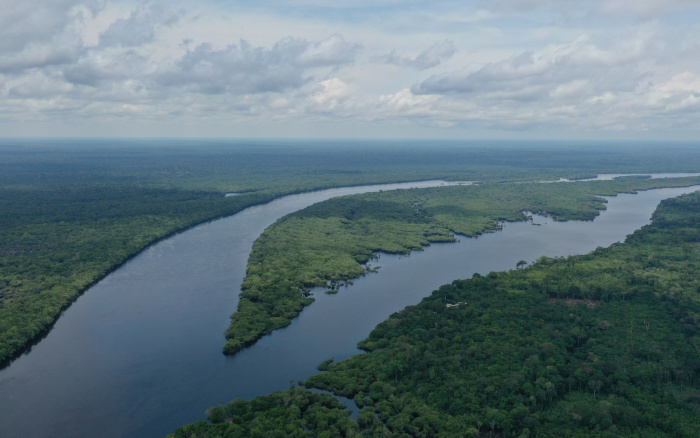 ISA: “Não tem mais árvore em pé no igapó”: Médio Rio Negro investiga impactos de incêndios florestais