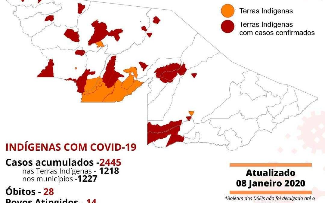CPI- ACRE: Monitoramento da COVID-19 entre indígenas no Acre