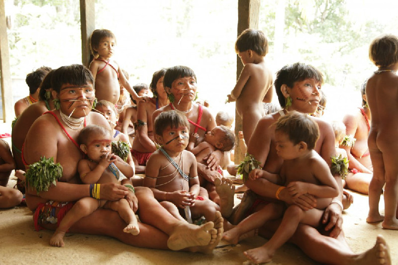 AMAZÔNIA NOTÍCIA E INFORMAÇÃO: Ministério da Saúde investiga mortes de nove crianças Yanomamis por covid-19