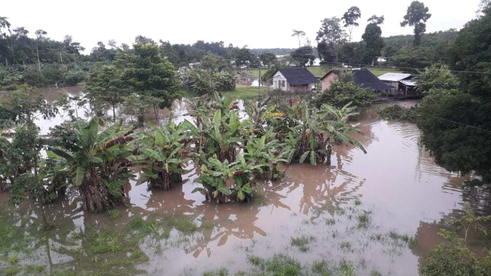 CPI- ACRE: Devido às fortes chuvas, alagamentos atingem povos indígenas no Acre