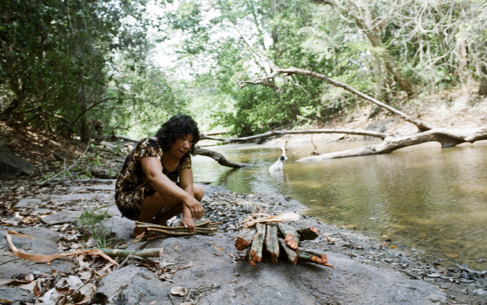 ISA: Desmatamento na Terra Indígena Cachoeira Seca (PA) explode após retirada de base de fiscalização