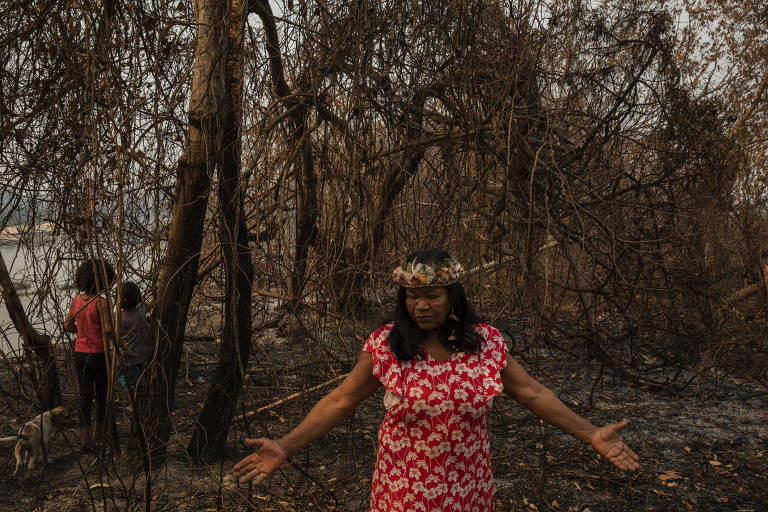 FOLHA DE S. PAULO: Terras indígenas concentram apenas 3% do desmatamento na Amazônia, aponta estudo